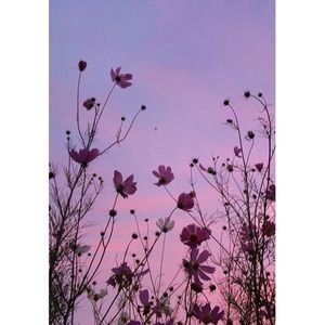 Meet your Posher, Lucy